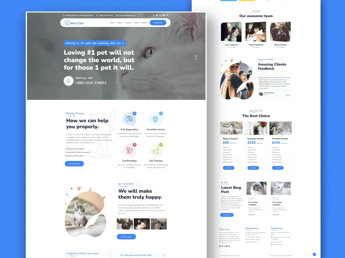 Meow Care Website Design