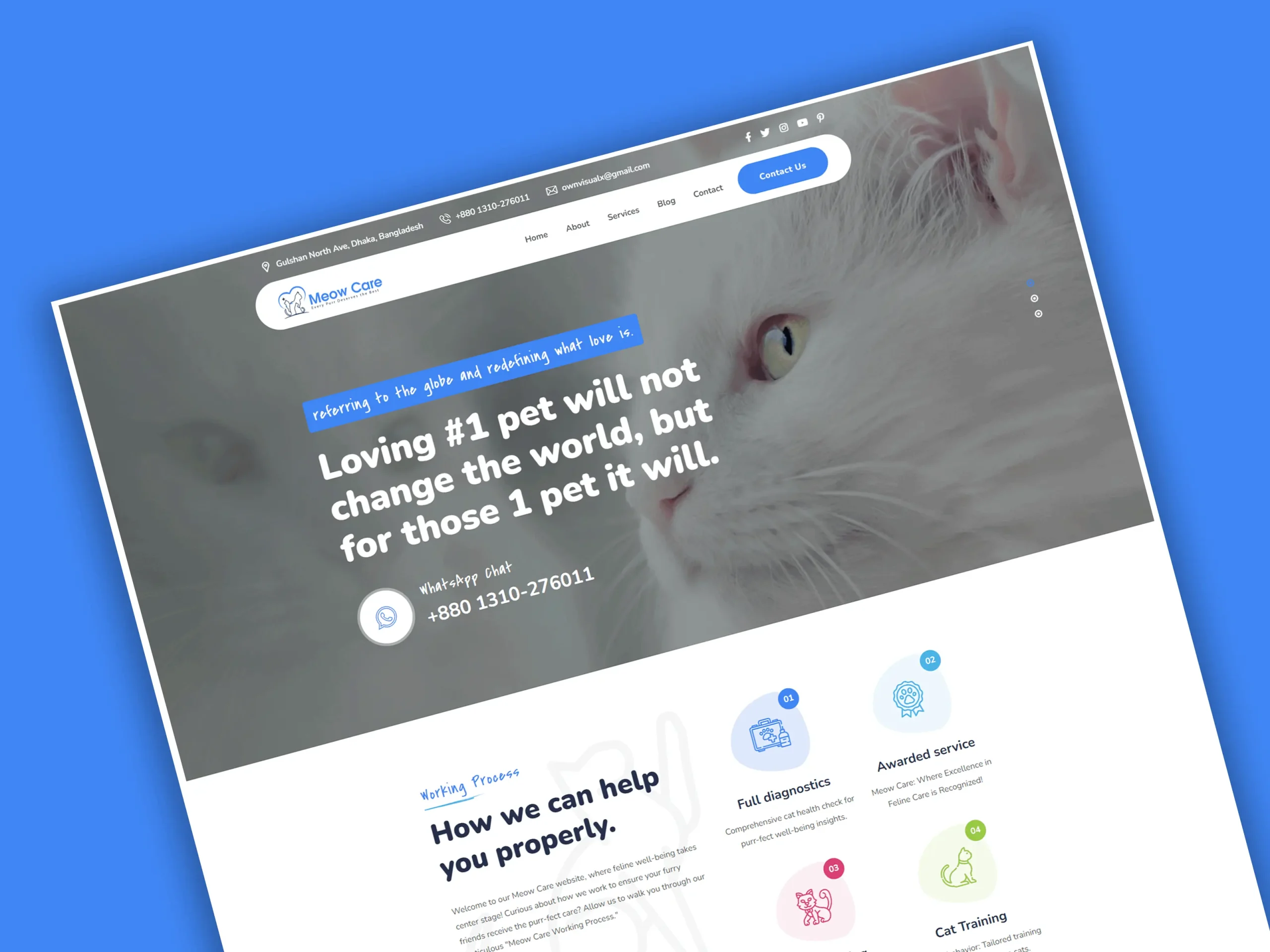 Meow Care Website Design